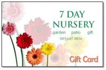 Logo Gift Card Sample